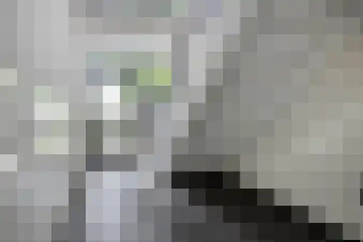 Schaliedekkersdreef 50 D Maastricht thumbnail 8