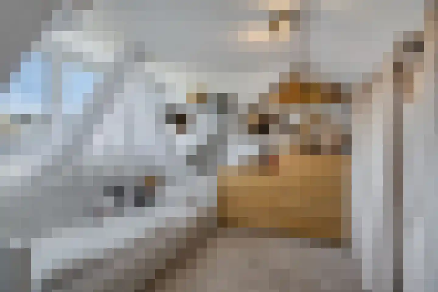 Schaliedekkersdreef 68 Maastricht thumbnail 16