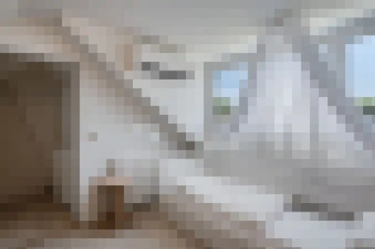 Schaliedekkersdreef 68 Maastricht thumbnail 17