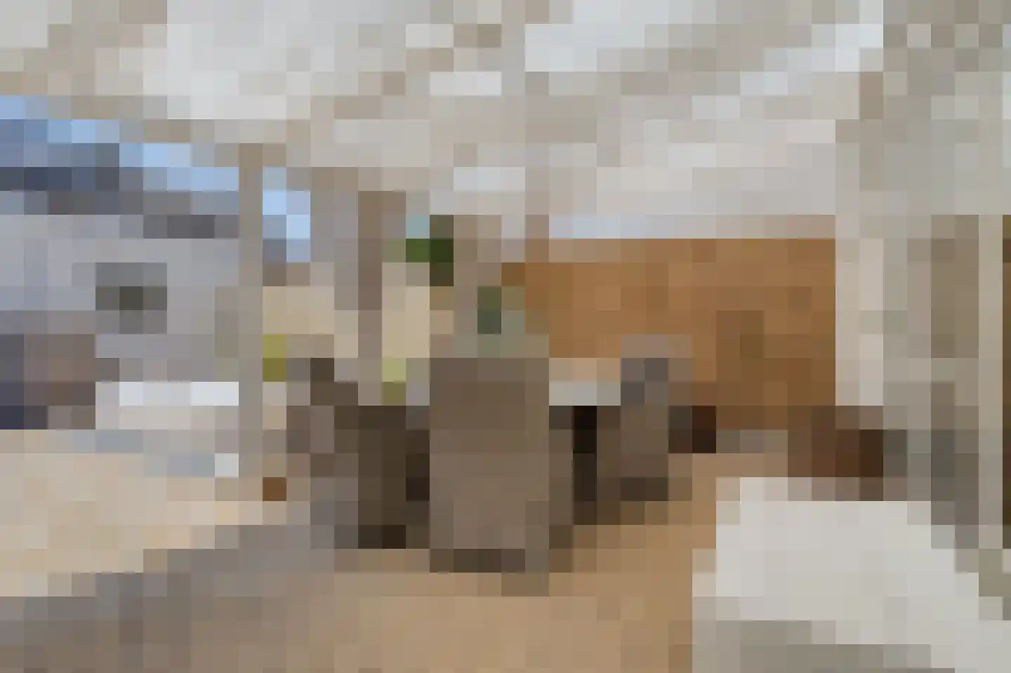 Schaliedekkersdreef 68 Maastricht thumbnail 19