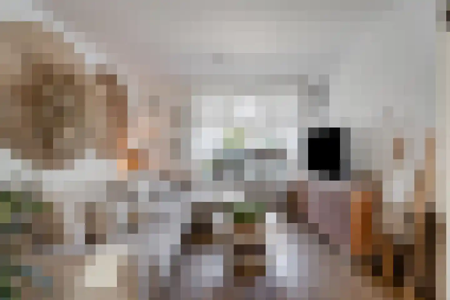 Schaliedekkersdreef 68 Maastricht thumbnail 5