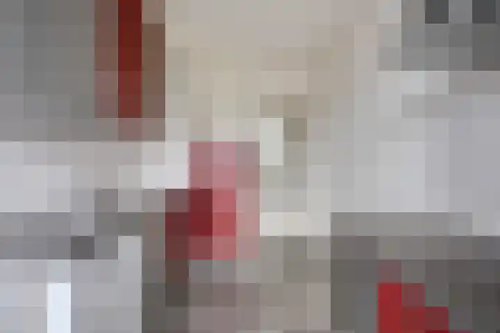 Schaliedekkersdreef 82 C Maastricht thumbnail 11
