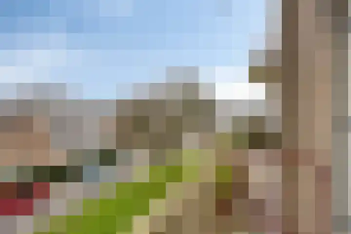 Schaliedekkersdreef 82 C Maastricht thumbnail 24