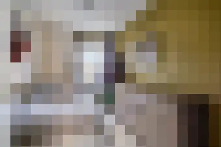 Schaliedekkersdreef 84 C Maastricht thumbnail 15