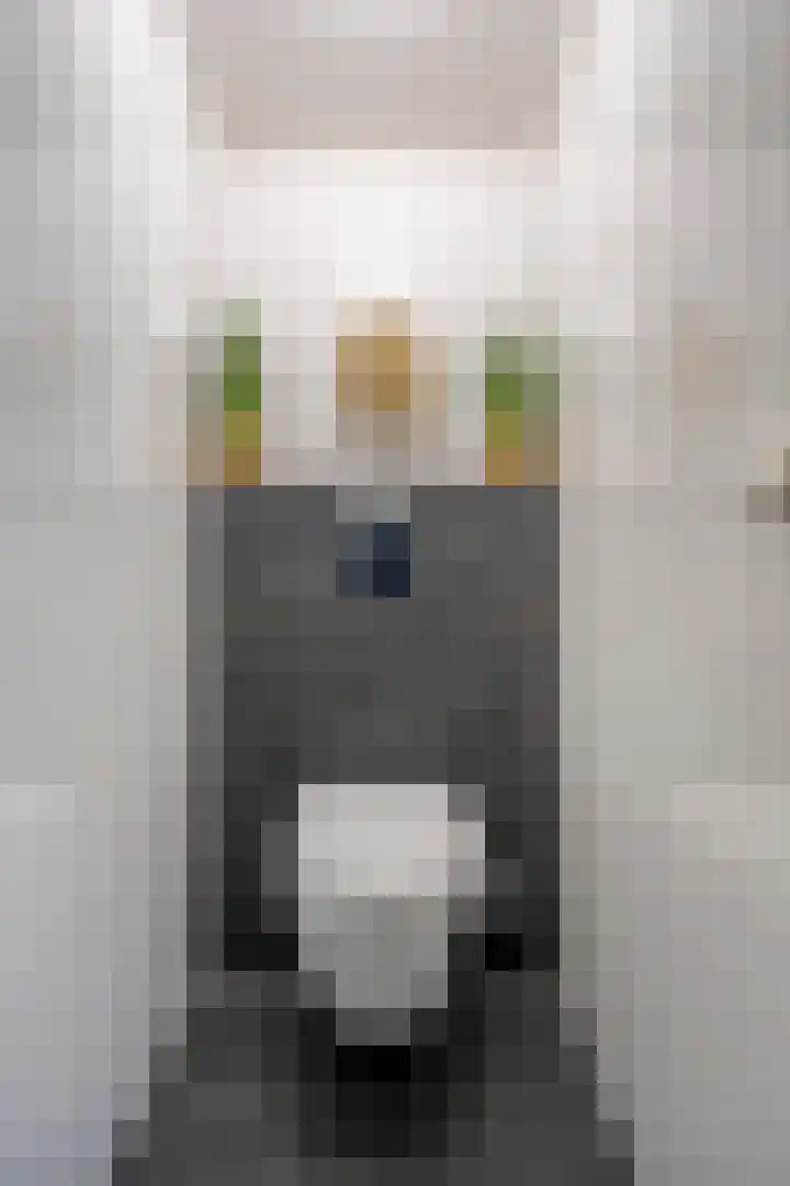 Schaliedekkersdreef 84 C Maastricht thumbnail 19