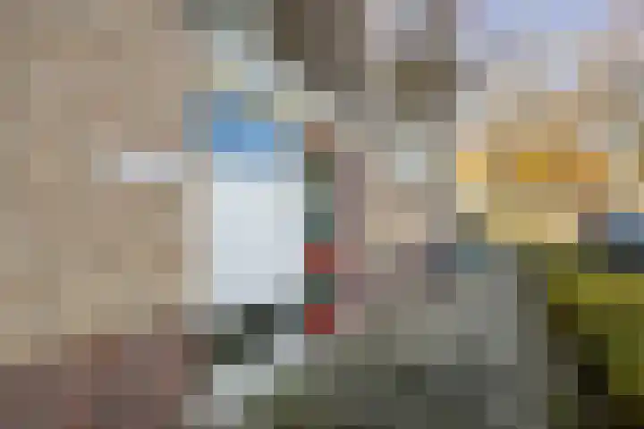 Schaliedekkersdreef 84 C Maastricht thumbnail 20