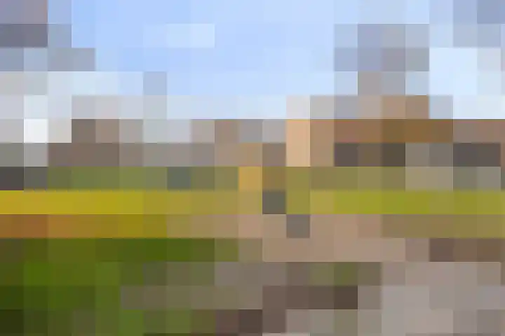 Schaliedekkersdreef 84 C Maastricht thumbnail 25