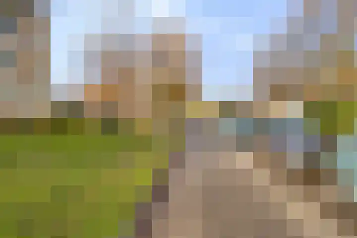 Schaliedekkersdreef 84 C Maastricht thumbnail 26