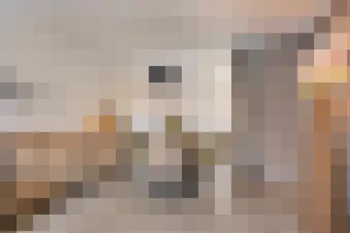 Schaliedekkersdreef 84 C Maastricht thumbnail 6