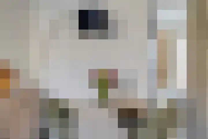 Schaliedekkersdreef 84 C Maastricht thumbnail 7