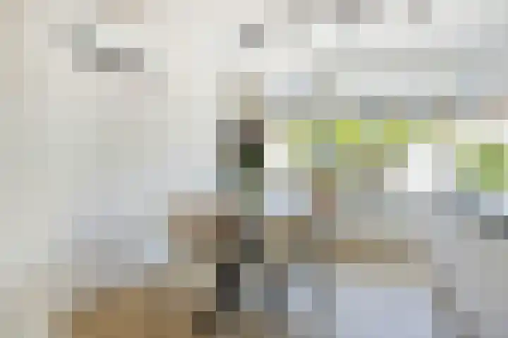 Schaliedekkersdreef 89 Maastricht thumbnail 11