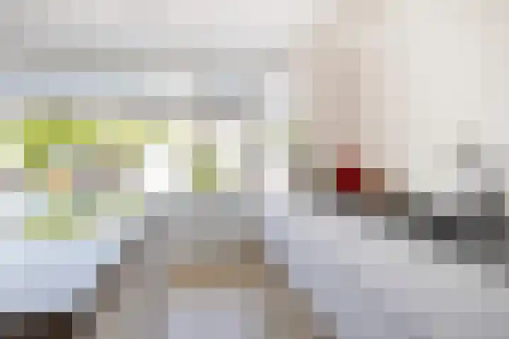 Schaliedekkersdreef 89 Maastricht thumbnail 12