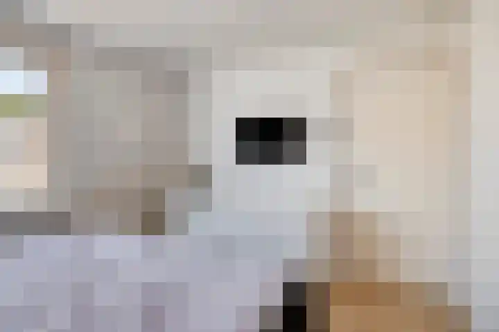 Schaliedekkersdreef 89 Maastricht thumbnail 18