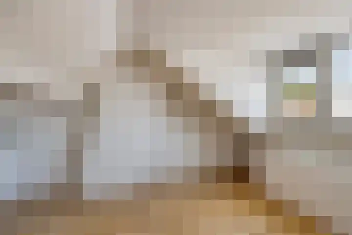 Schaliedekkersdreef 89 Maastricht thumbnail 25