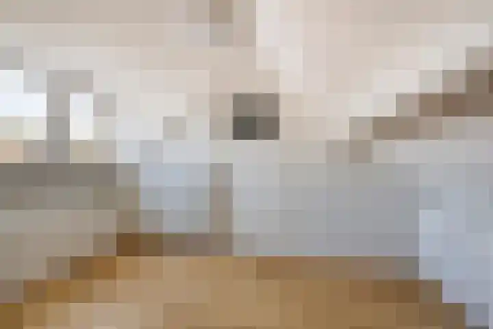 Schaliedekkersdreef 89 Maastricht thumbnail 26
