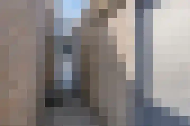 Schaliedekkersdreef 89 Maastricht thumbnail 30