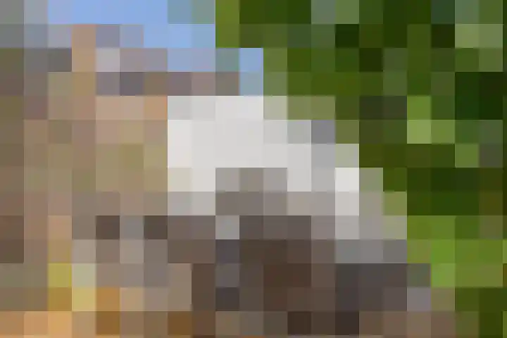 Schaliedekkersdreef 89 Maastricht thumbnail 31