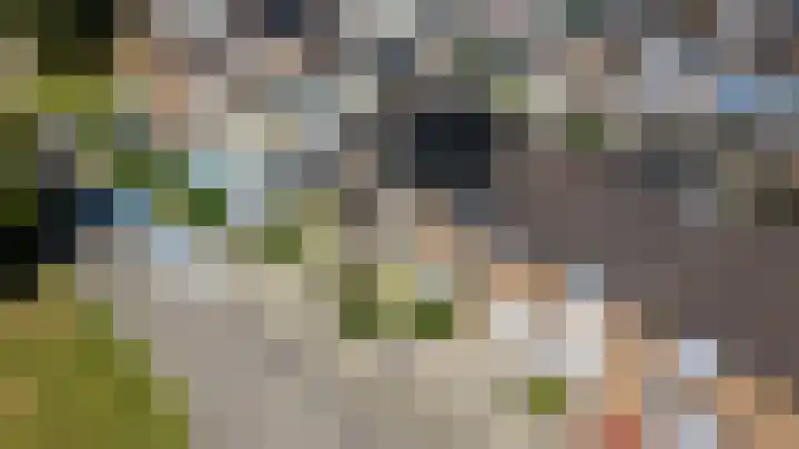 Schaliedekkersdreef 89 Maastricht thumbnail 36