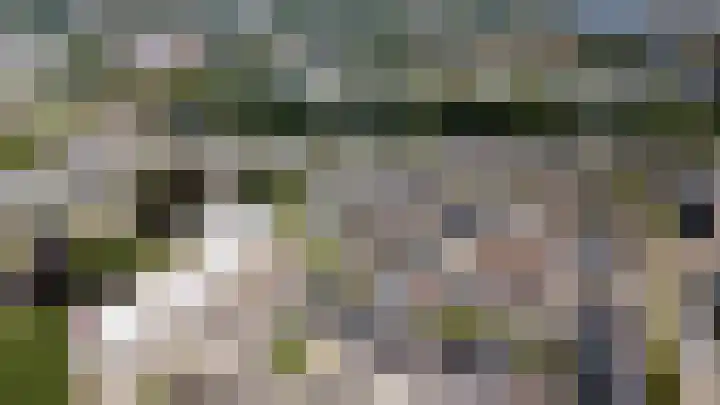 Schaliedekkersdreef 89 Maastricht thumbnail 38