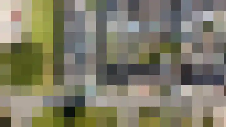 Schaliedekkersdreef 89 Maastricht thumbnail 39