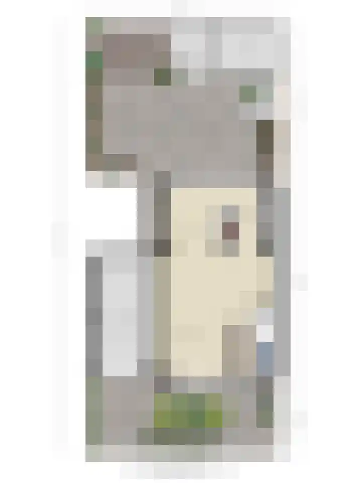Schaliedekkersdreef 89 Maastricht thumbnail 40