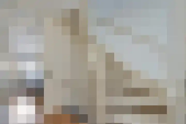 Schalieven 26 Bladel thumbnail 10