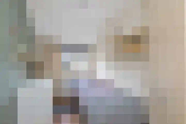 Schalieven 26 Bladel thumbnail 15
