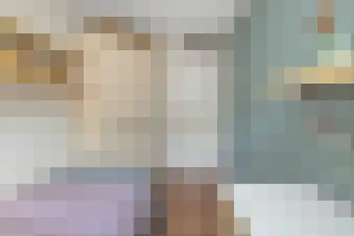 Schalieven 26 Bladel thumbnail 16
