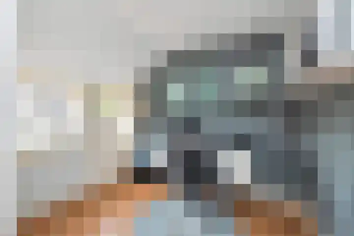 Schalieven 26 Bladel thumbnail 17