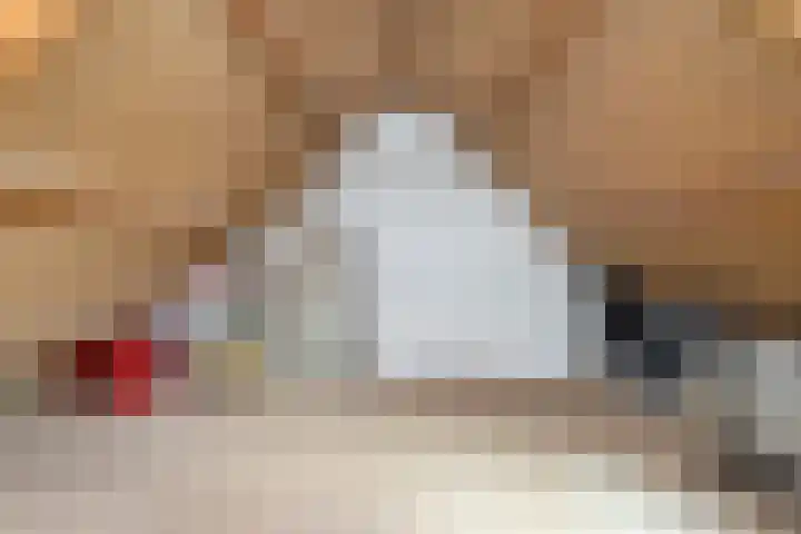 Schalieven 26 Bladel thumbnail 21