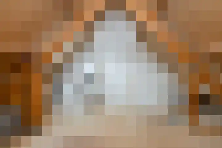Schalieven 26 Bladel thumbnail 22