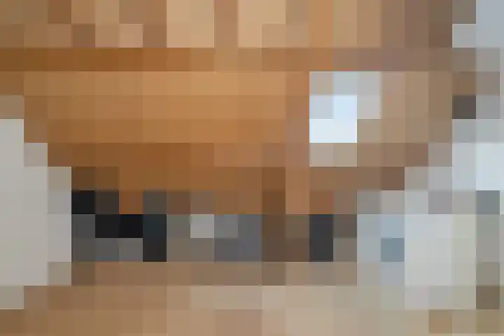 Schalieven 26 Bladel thumbnail 23