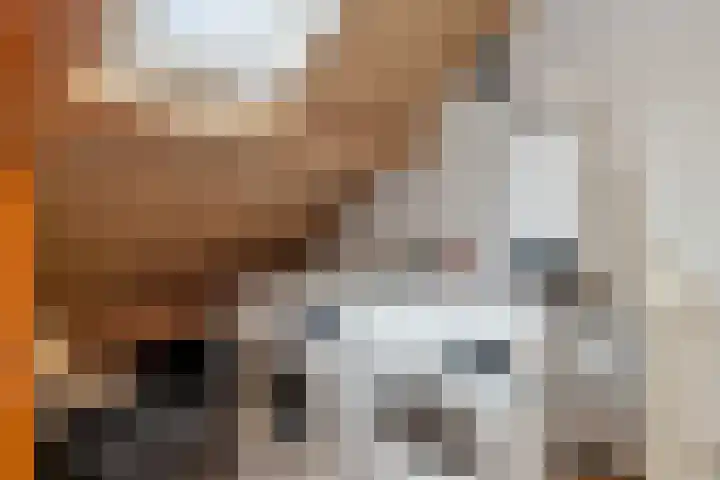Schalieven 26 Bladel thumbnail 24