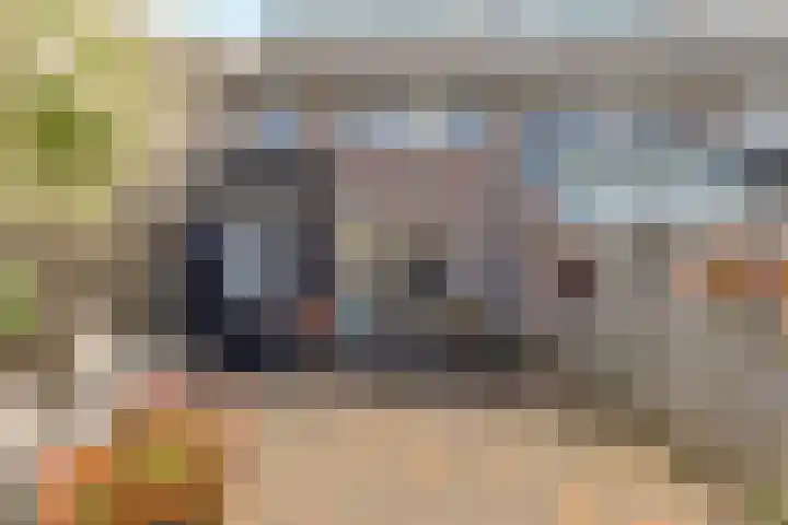 Schalieven 26 Bladel thumbnail 25