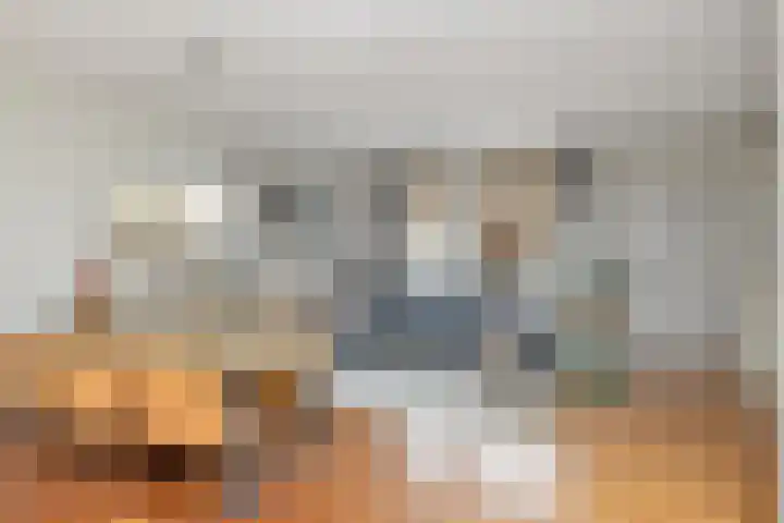 Schalieven 26 Bladel thumbnail 4