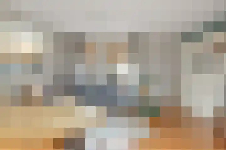 Schalieven 26 Bladel thumbnail 6