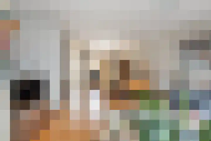 Schalieven 26 Bladel thumbnail 7
