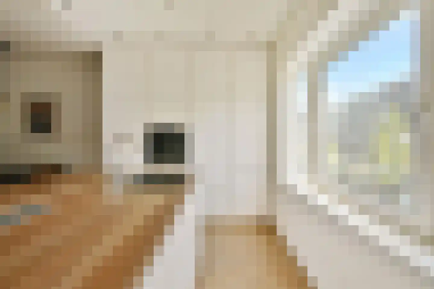 Schalk Burgerstraat 118 Amsterdam thumbnail 9
