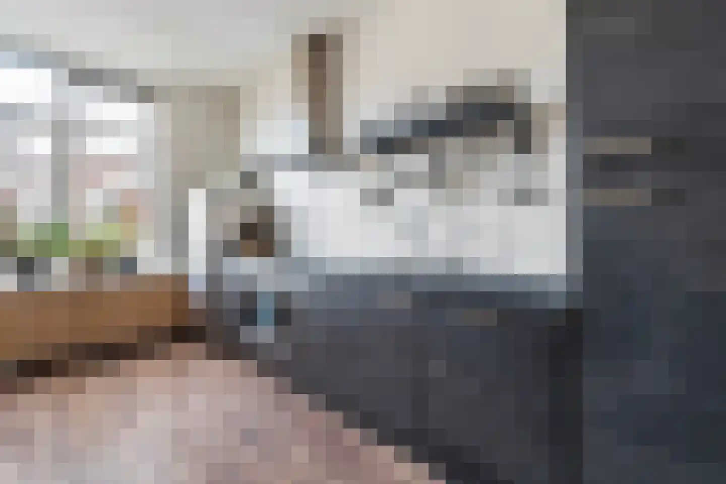 Schalk Burgerstraat 120 Den Haag thumbnail 7