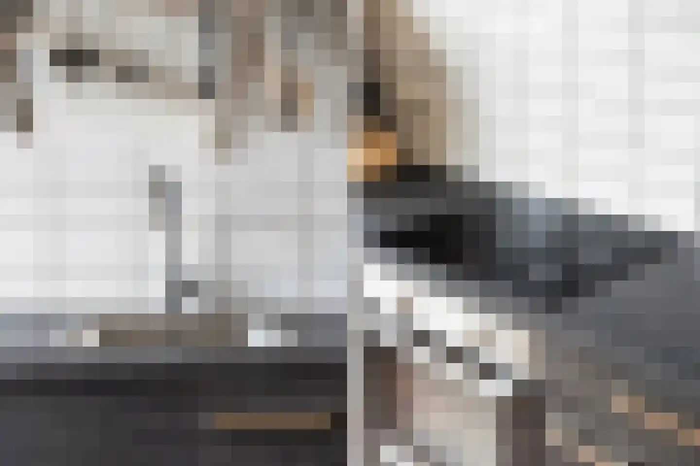 Schalk Burgerstraat 120 Den Haag thumbnail 8