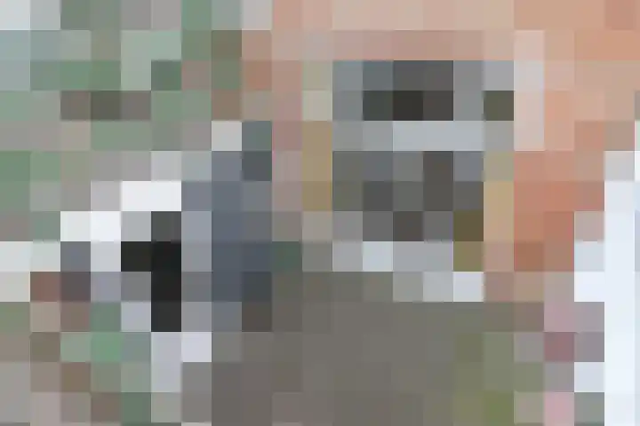 Schalk Burgerstraat 20 Leeuwarden thumbnail 59