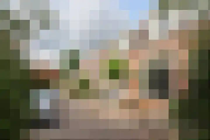 Schalk Burgerstraat 20 Leeuwarden thumbnail 8