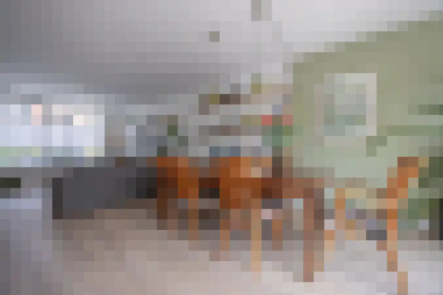 Schalk Burgerstraat 24 Tilburg thumbnail 11