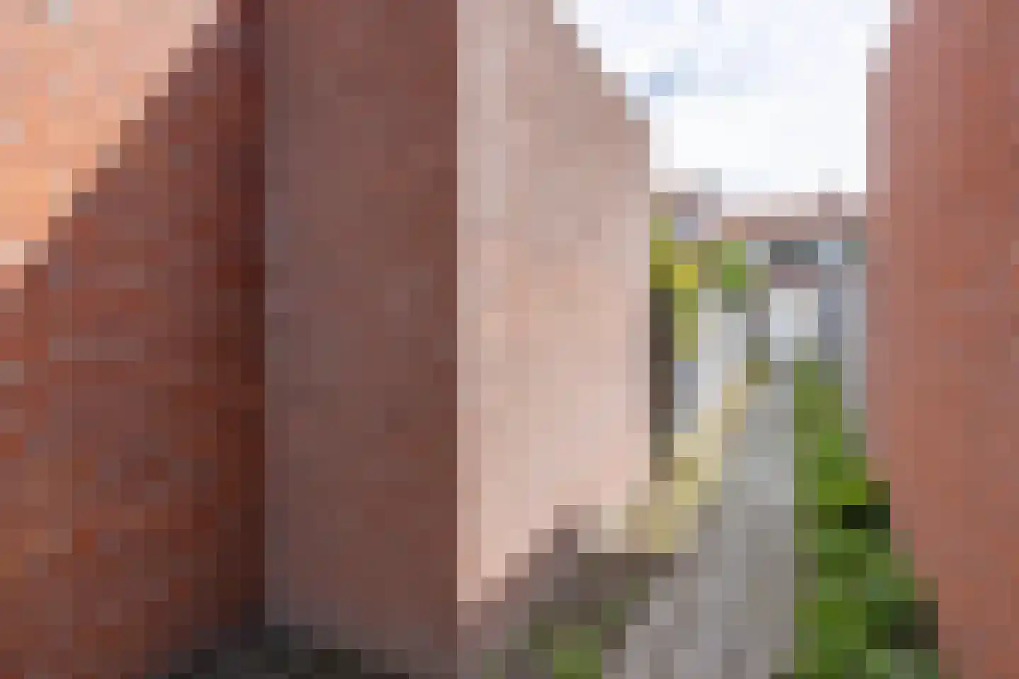 Schalk Burgerstraat 24 Tilburg thumbnail 43