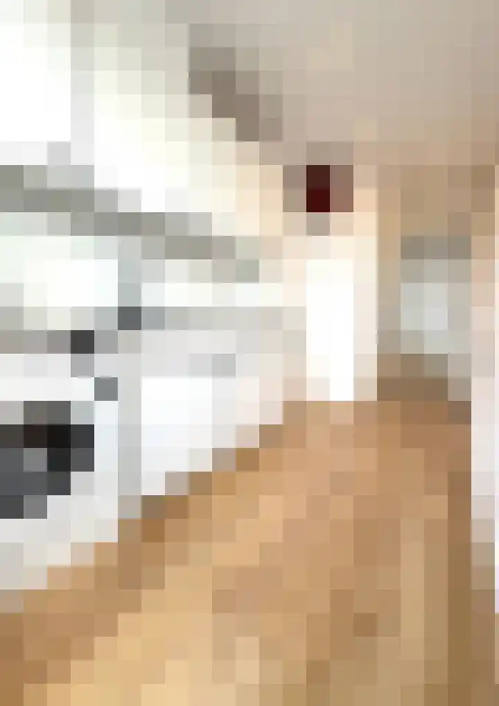 Schalk Burgerstraat 273 Den Haag thumbnail 9