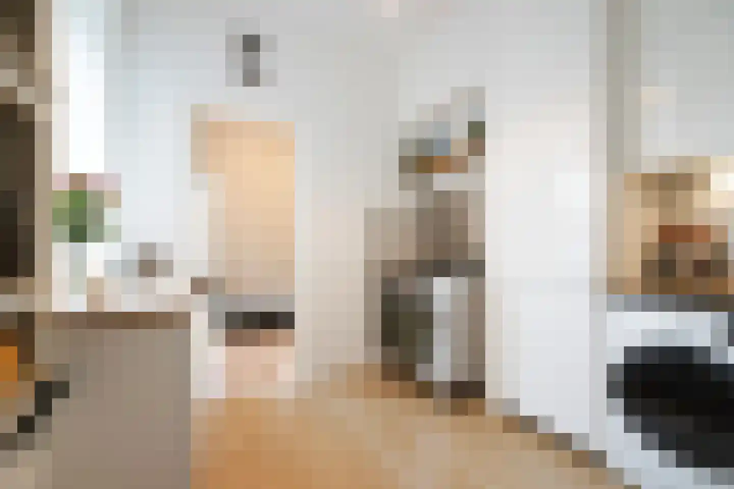 Schalk Burgerstraat 89 Den Haag thumbnail 16