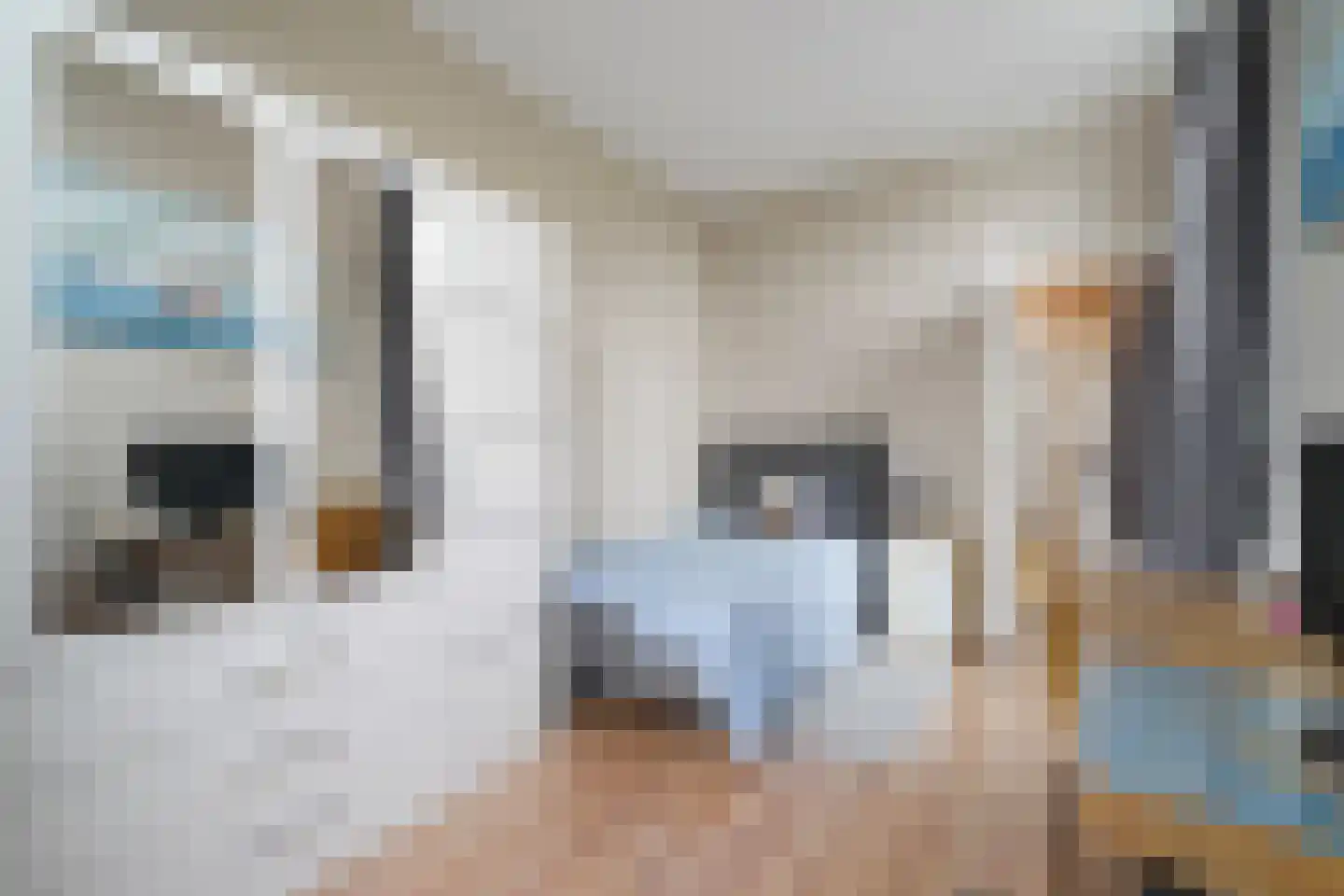 Schalk Burgerstraat 89 Den Haag thumbnail 30
