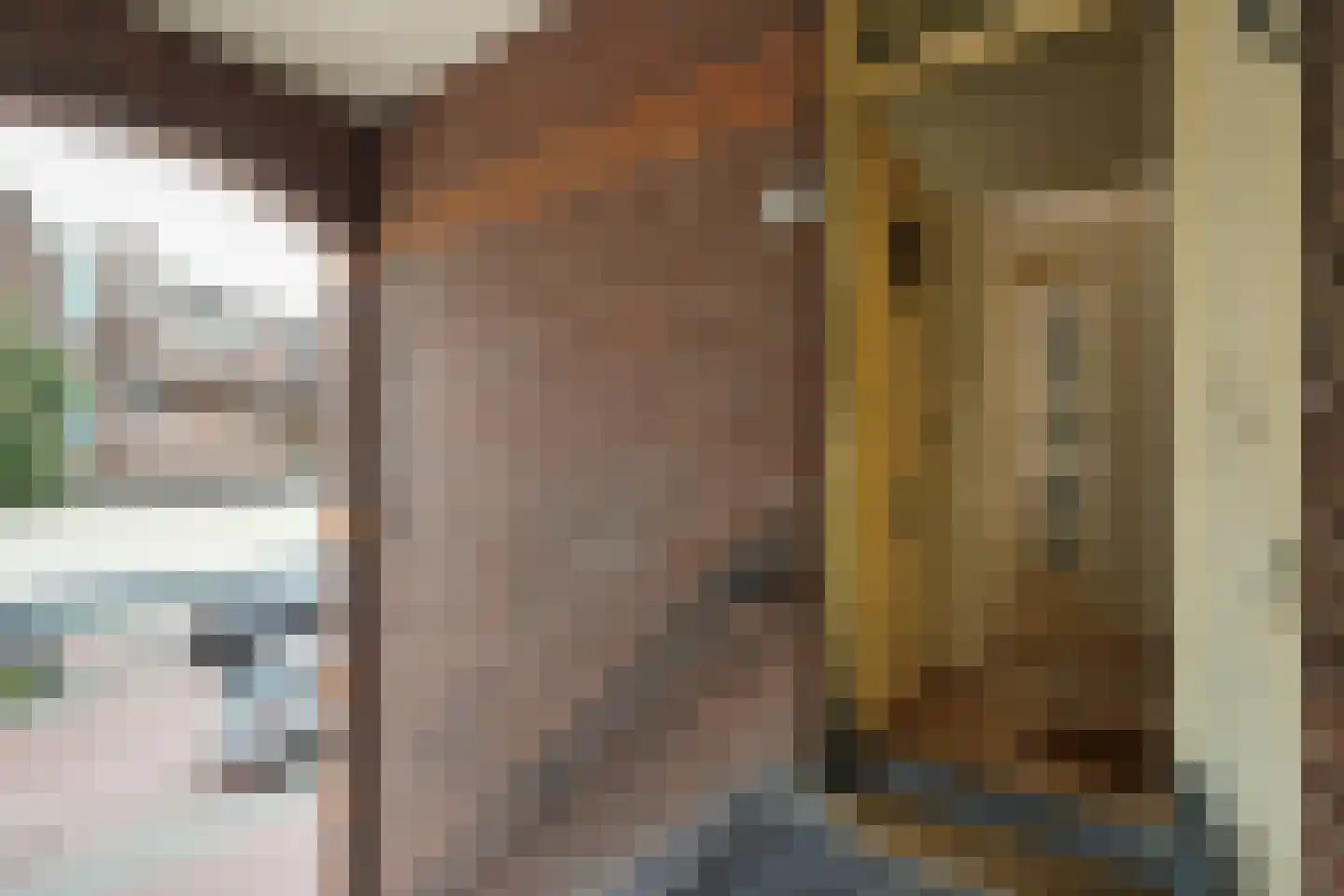 Schalk Burgerstraat 89 Den Haag thumbnail 9
