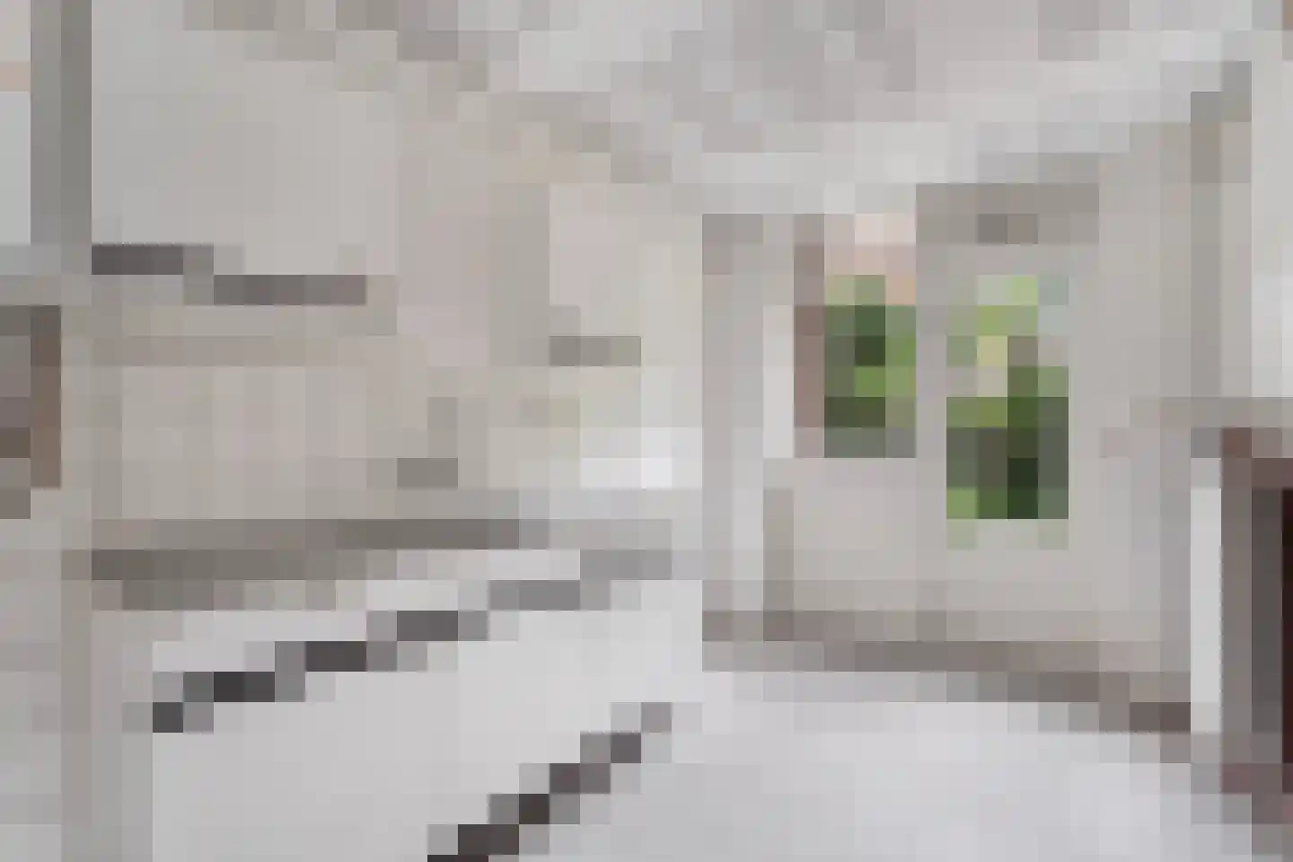 Schalk Burgerstraat 98 Amsterdam thumbnail 4