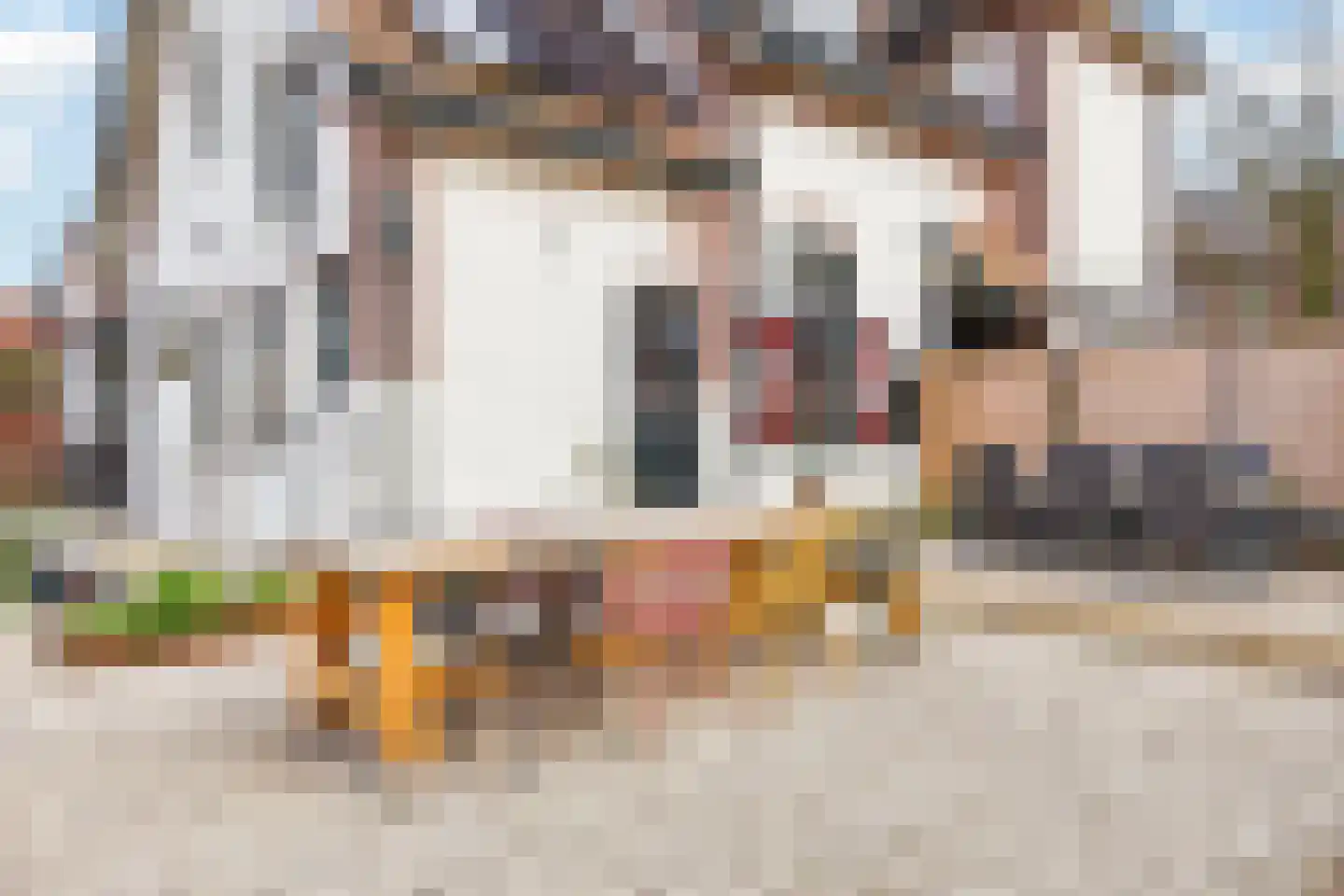Schalkburgerstraat 23 Hengelo thumbnail 48